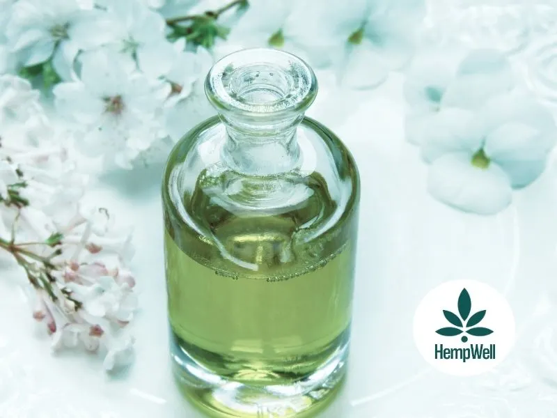 CBD Bioavailability