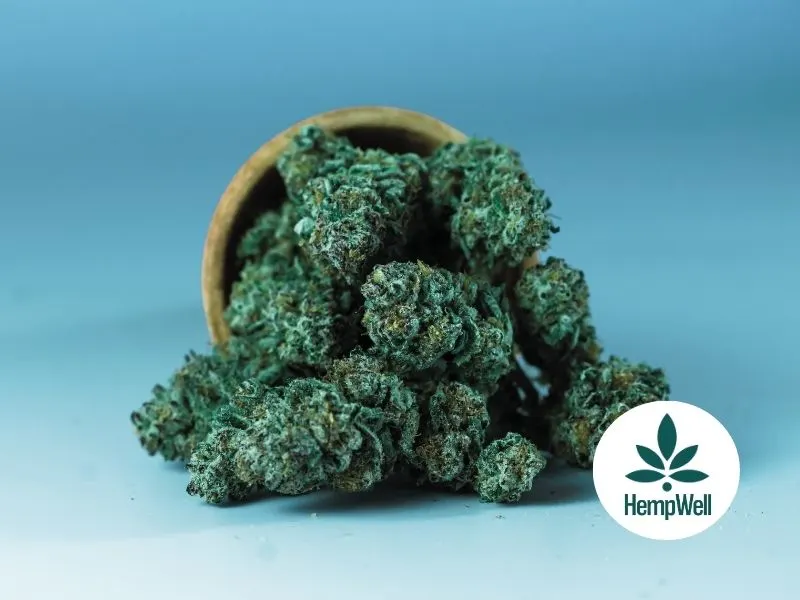 Cannabis Withdrawal