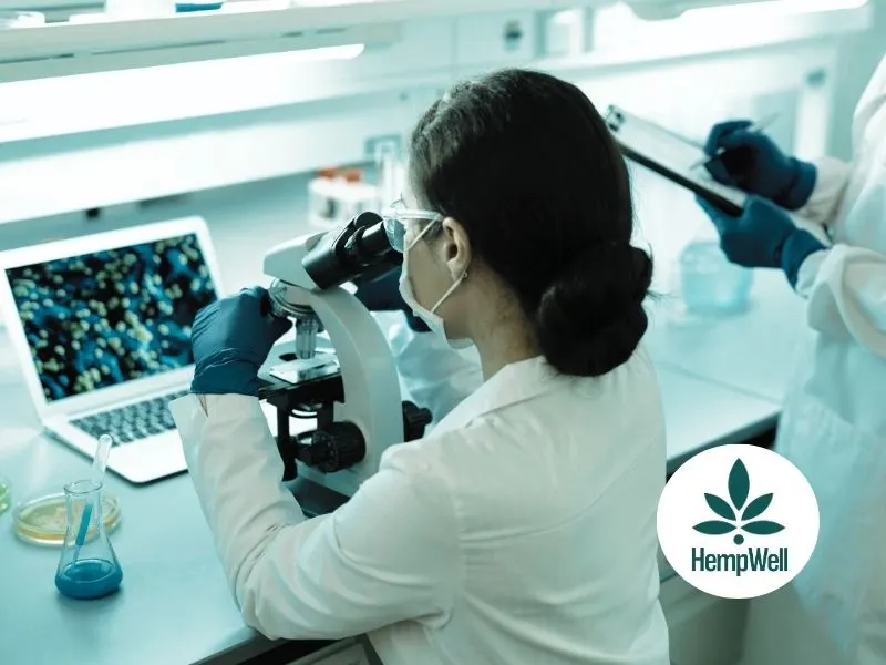 CBD Lab testing