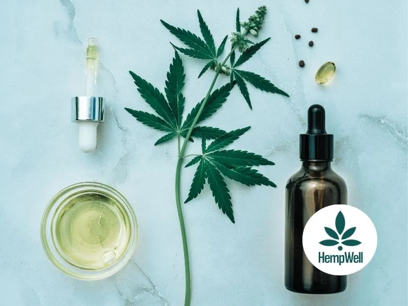 CBD Oil
