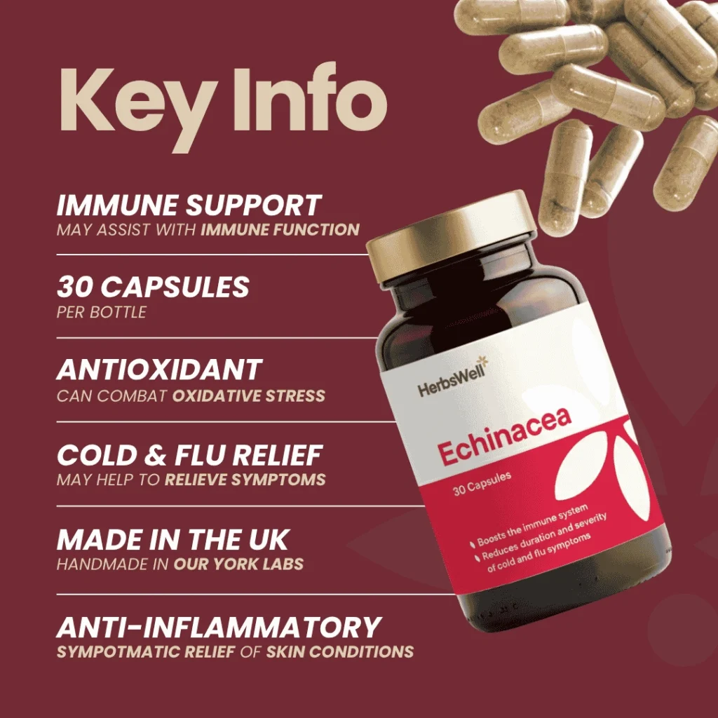 Infographic about immune support: Echinacea bottle on the right with bullet benefits like immune support, antioxidant, cold/flu relief, made in the UK.