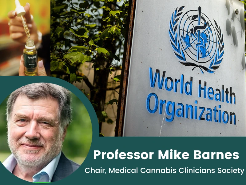Professor Mike Barnes, CBD expert