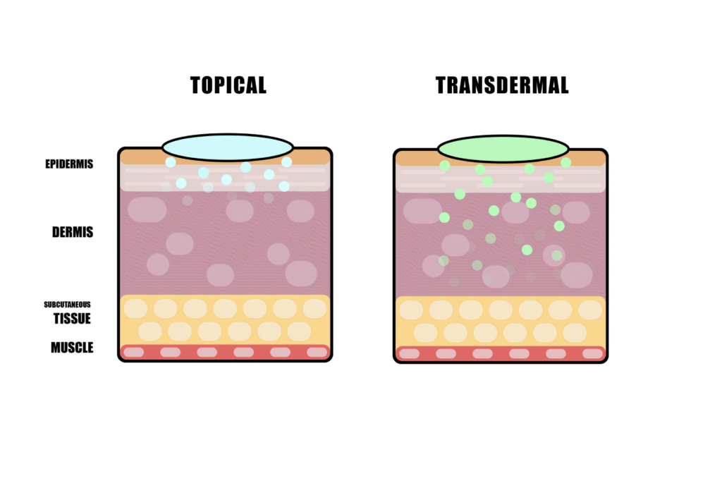 Topical v transdermal